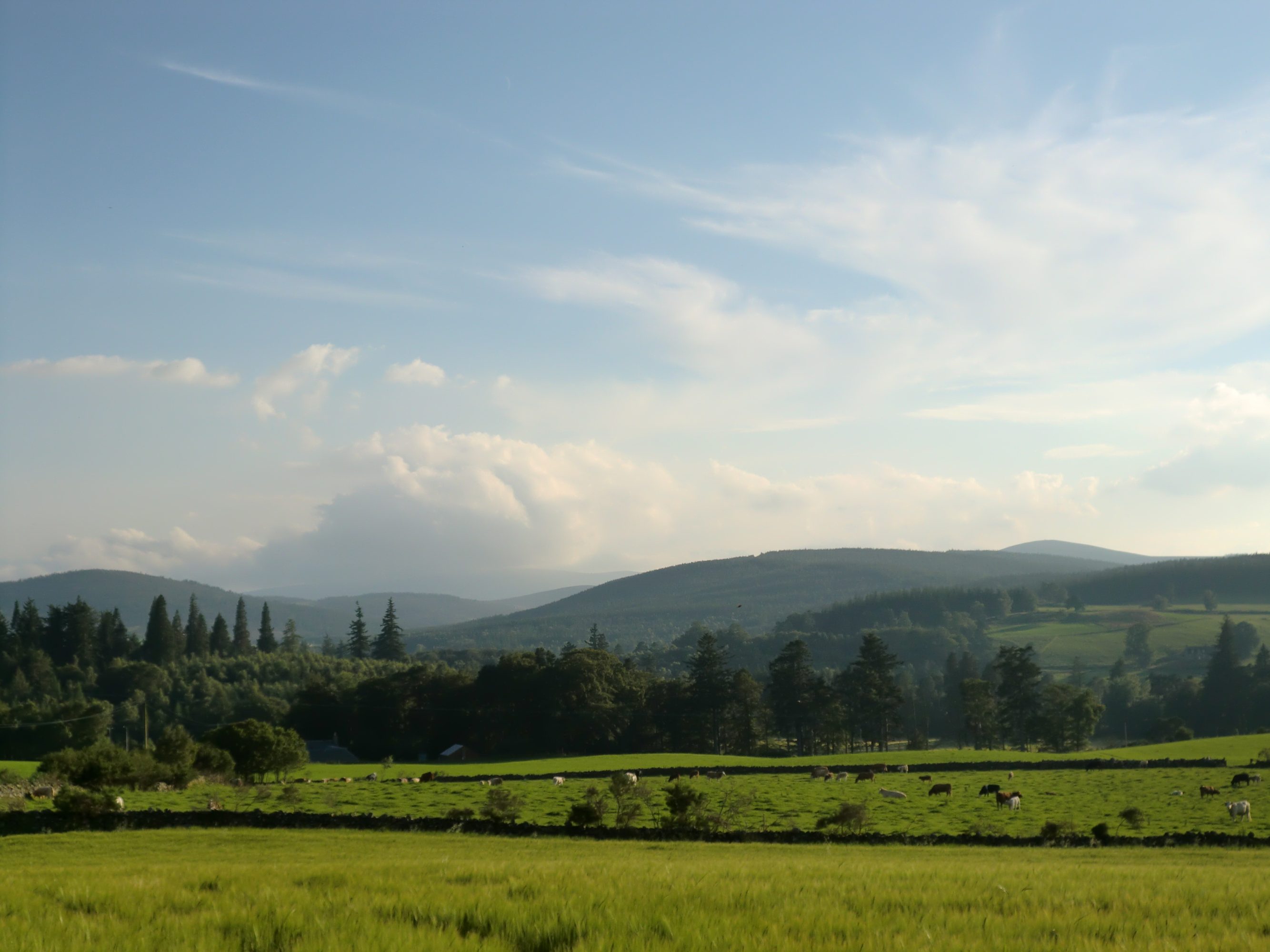 Aboyne Highland Games Ballogie Estate