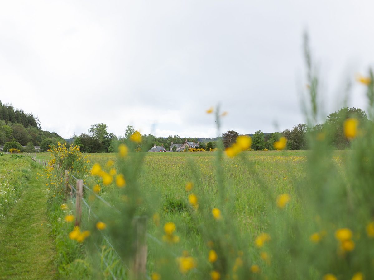 View of Potarch Lodge from the far side of the field, and path along the riverbank