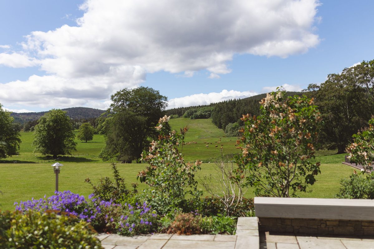 Ballogie House views, overlooking the parkland and fields with resident cows
